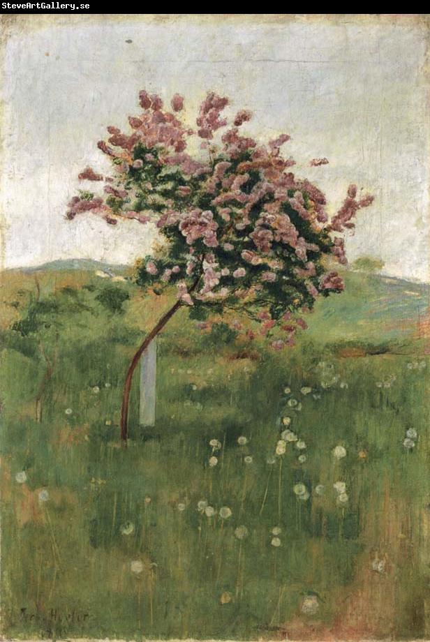 Ferdinand Hodler THe Lilac